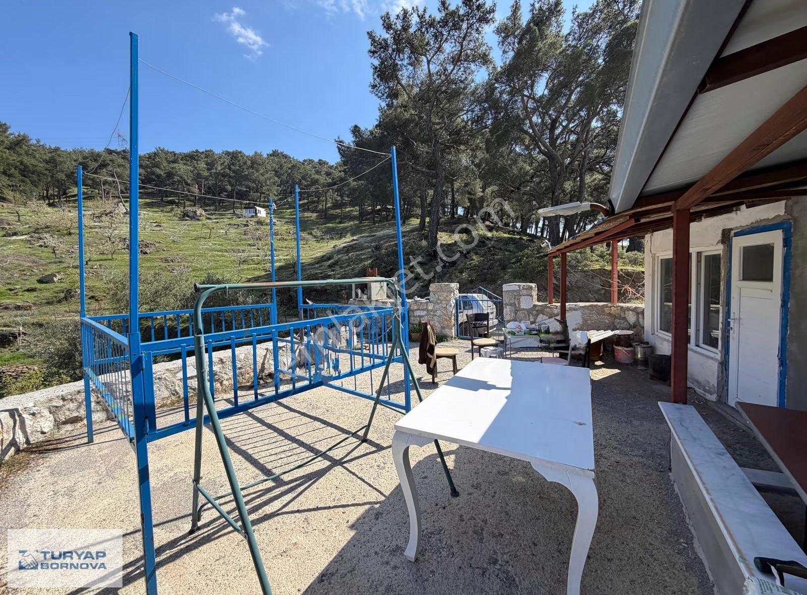 İzmir Kavacık'ta Yola Cepheli, Doğal Su Kaynaklı, 2646 M² Bağ - Görsel 23
