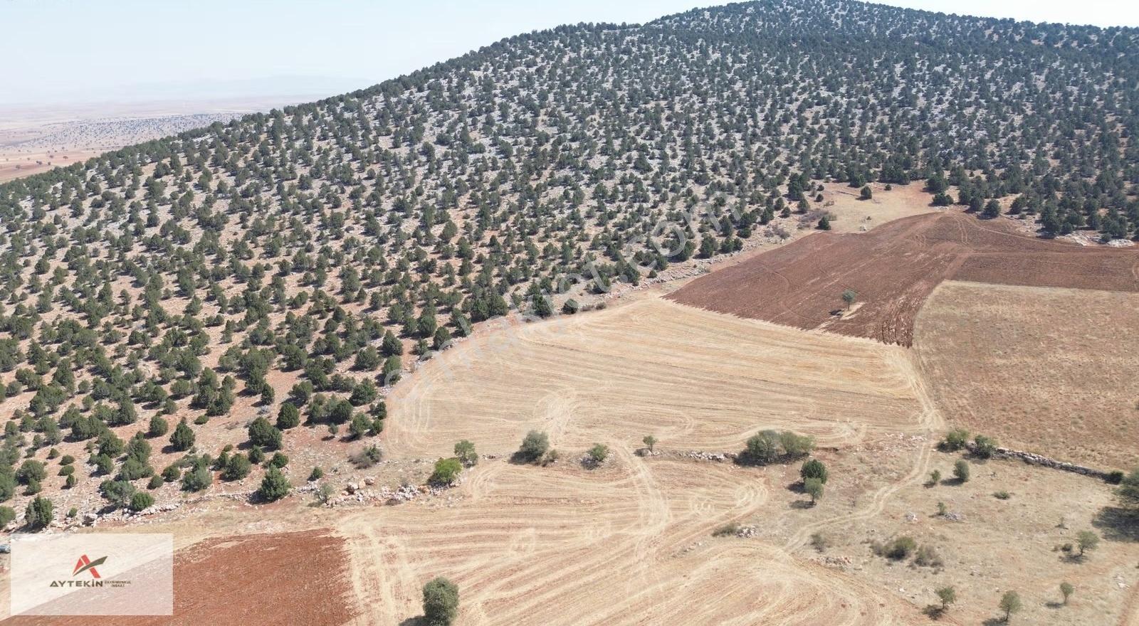 Konya Akören Alan Mahallesinde 4.809 M² Müstakil Tarla - Görsel 2