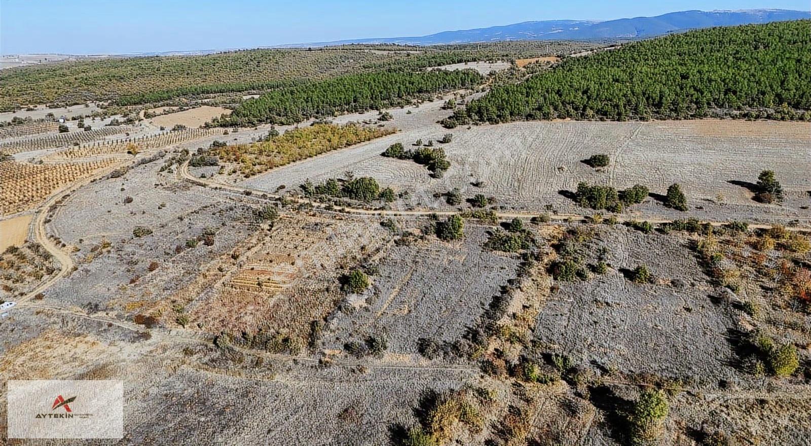 Konya / Doğanhisar / Cumhuriyet-ayaslar Mahallesinde 540 M² Müst - Görsel 7
