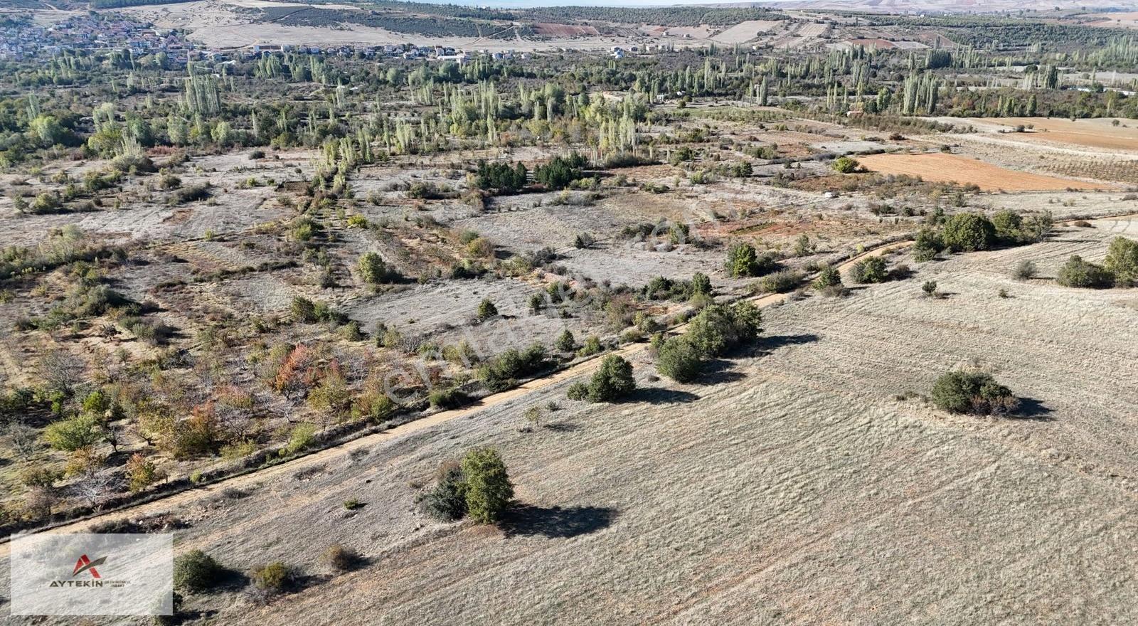 Konya / Doğanhisar / Cumhuriyet-ayaslar Mahallesinde 540 M² Müst - Görsel 14