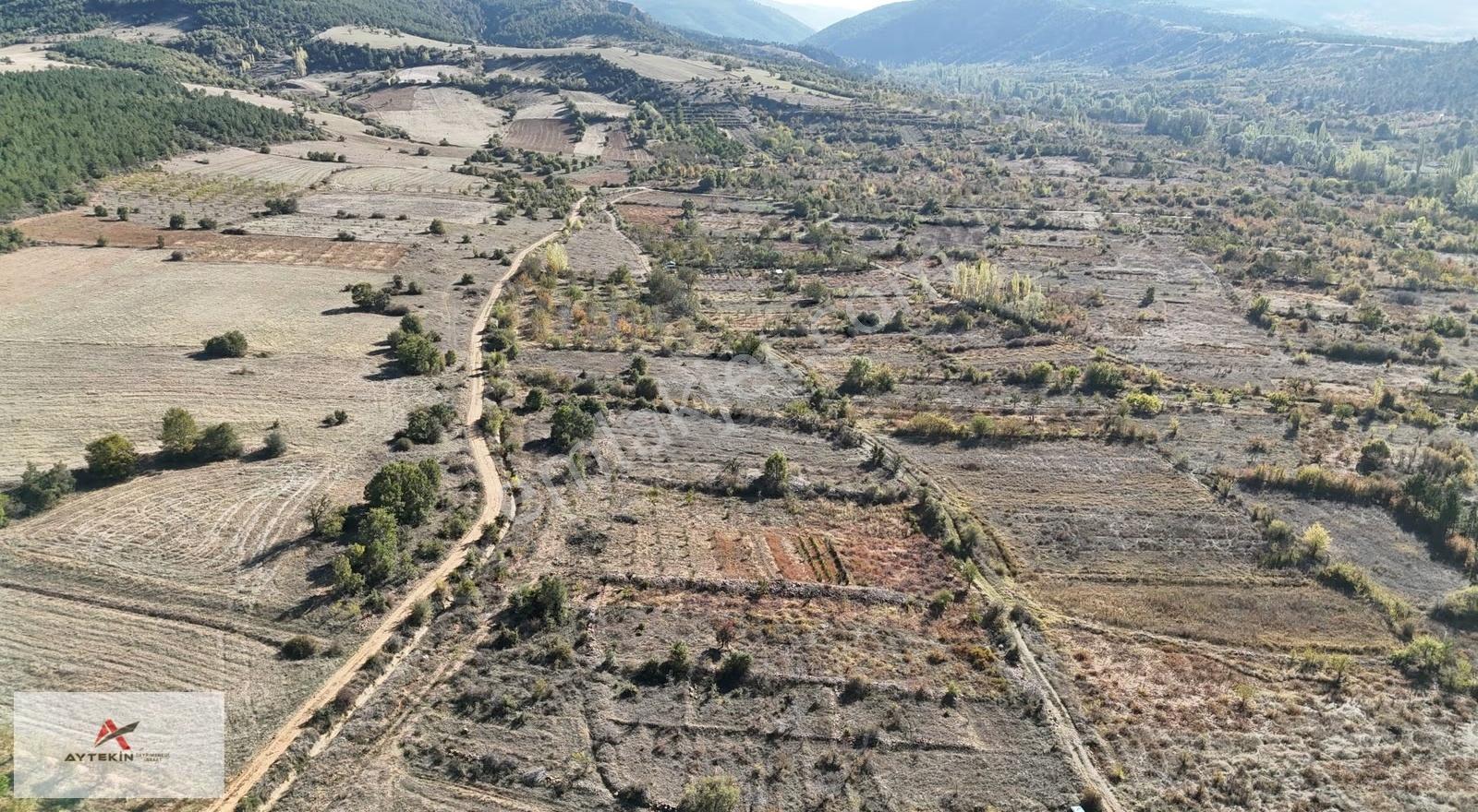 Konya / Doğanhisar / Cumhuriyet-ayaslar Mahallesinde 540 M² Müst - Görsel 4