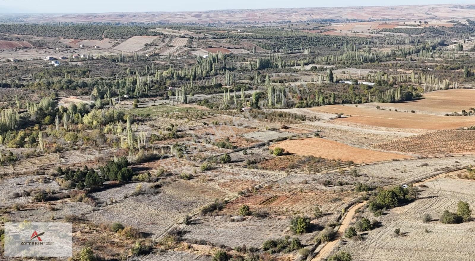 Konya / Doğanhisar / Cumhuriyet-ayaslar Mahallesinde 540 M² Müst - Görsel 20