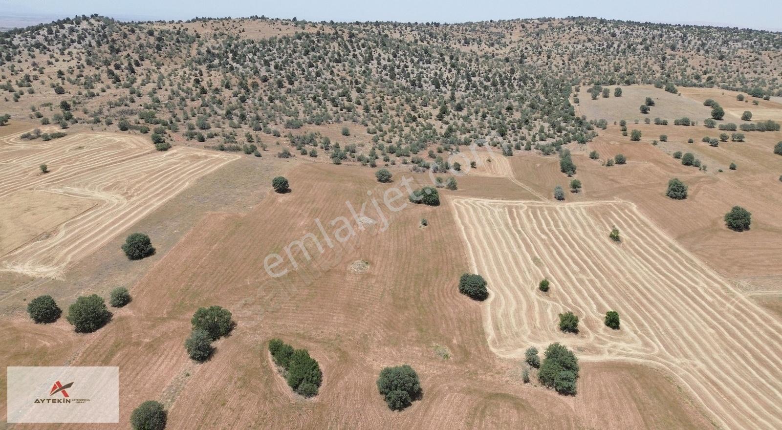 Akören/hacılar'da Fırsat Arazi!!! 10.342m2 Meraya Cephe Müstakil - Görsel 5