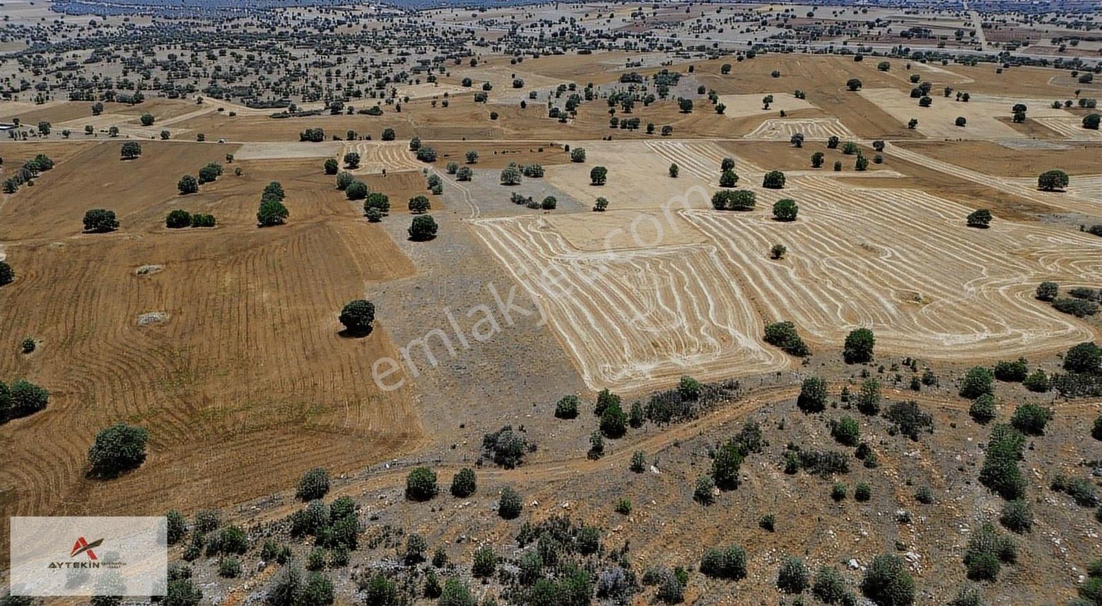 Akören/hacılar'da Fırsat Arazi!!! 10.342m2 Meraya Cephe Müstakil - Görsel 4