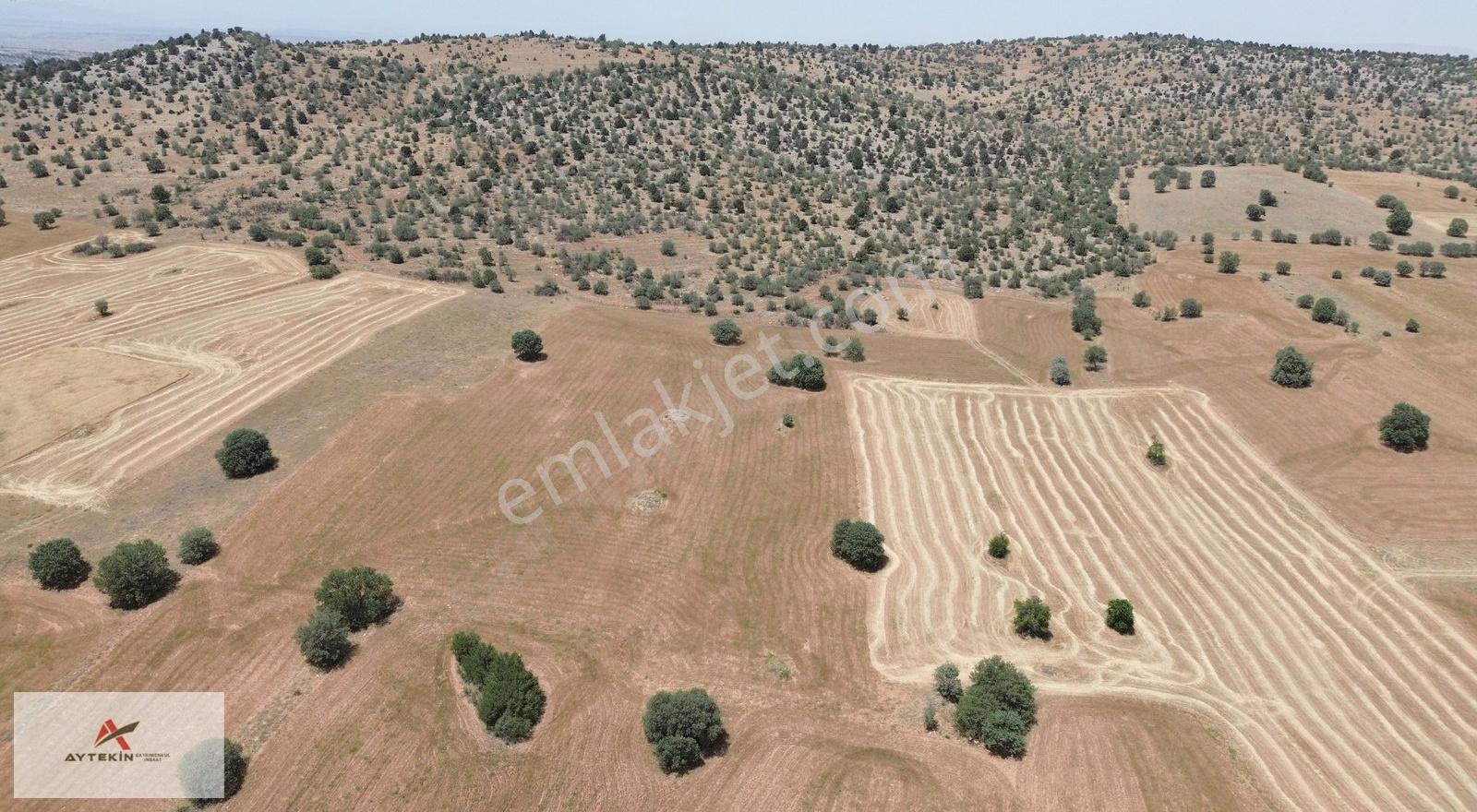 Akören/hacılar'da Fırsat Arazi!!! 10.342m2 Meraya Cephe Müstakil - Görsel 14