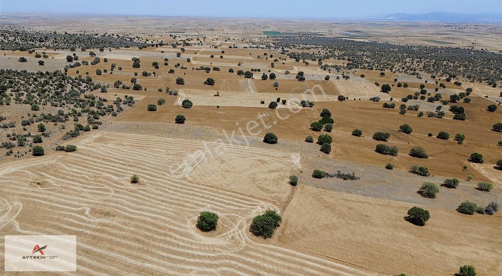 Akören/hacılar'da Fırsat Arazi!!! 10.342m2 Meraya Cephe Müstakil - Görsel 17