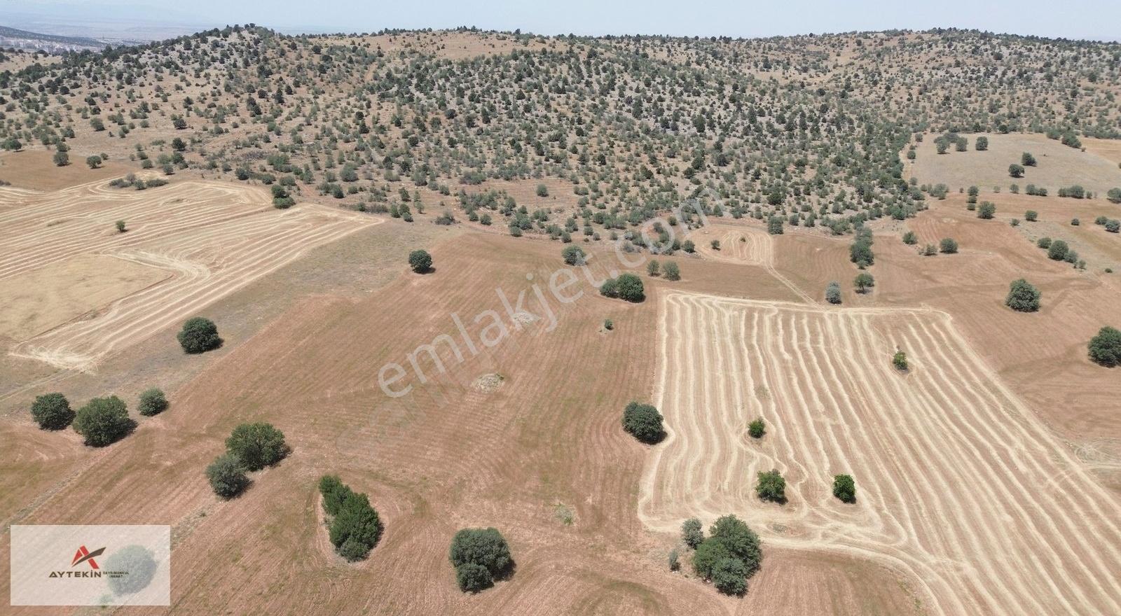 Akören/hacılar'da Fırsat Arazi!!! 10.342m2 Meraya Cephe Müstakil - Görsel 13