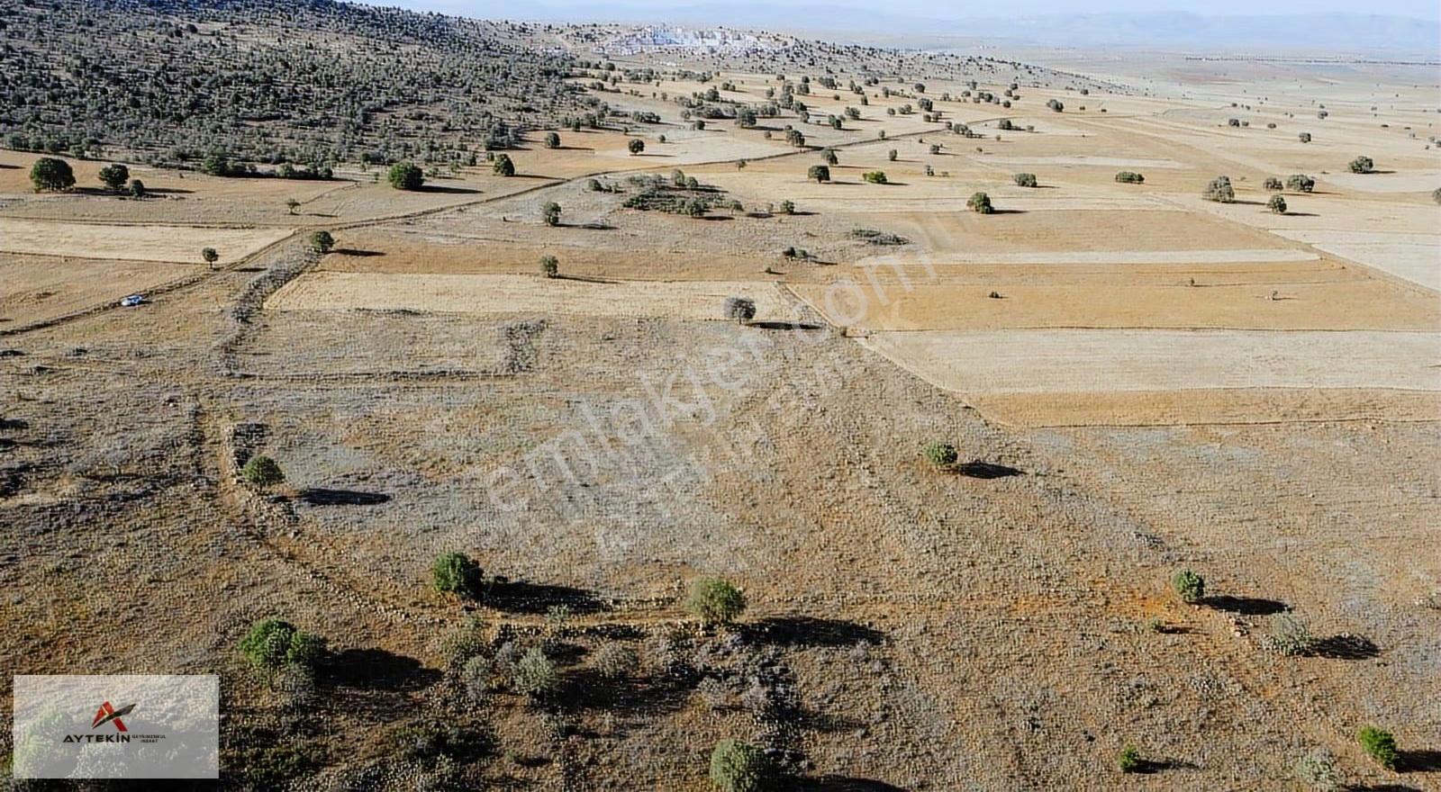 Hacılar'da 6.983m2 Müstakil Tapulu Arazi Fırsat Fiyatt !! - Görsel 15