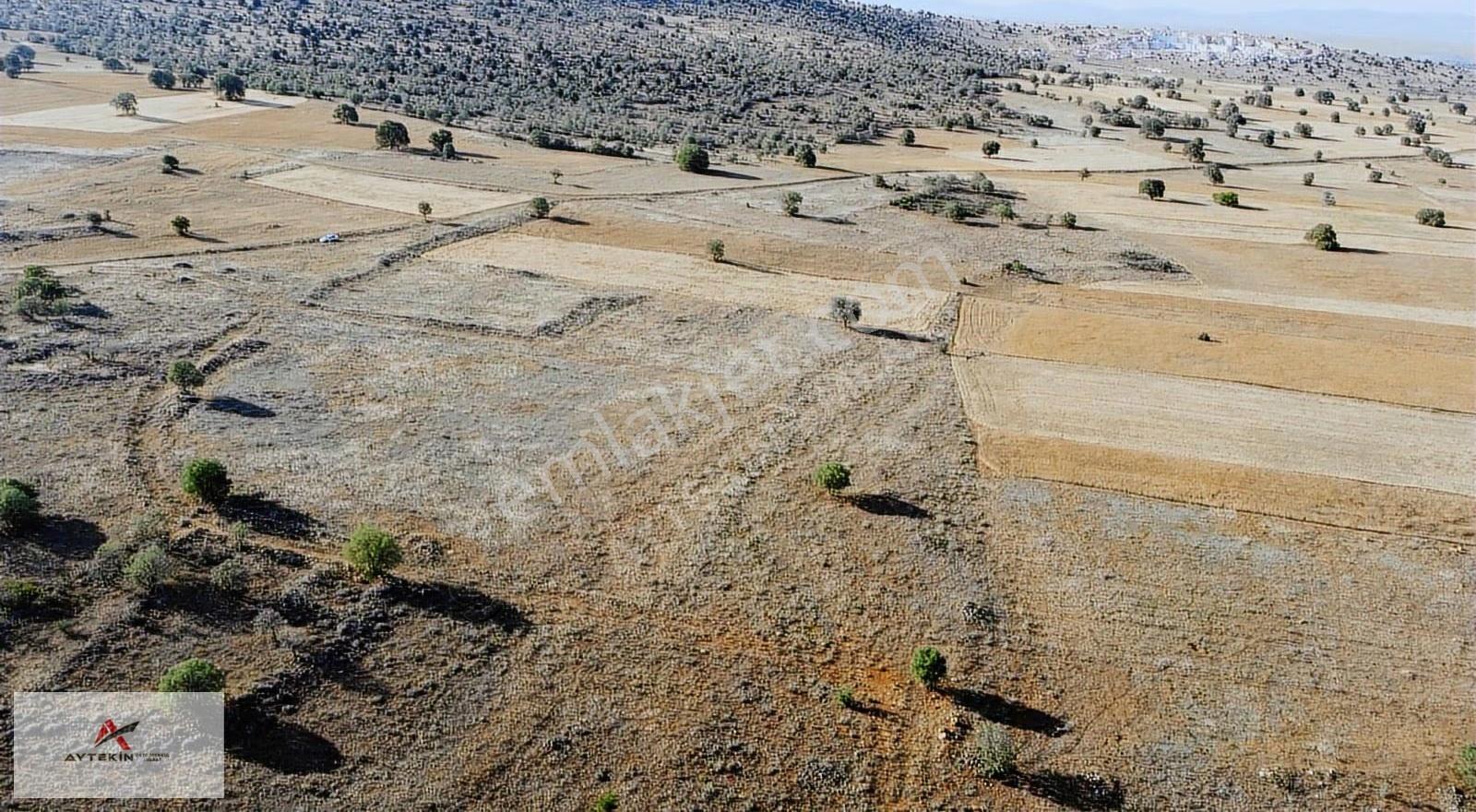 Hacılar'da 6.983m2 Müstakil Tapulu Arazi Fırsat Fiyatt !! - Görsel 5