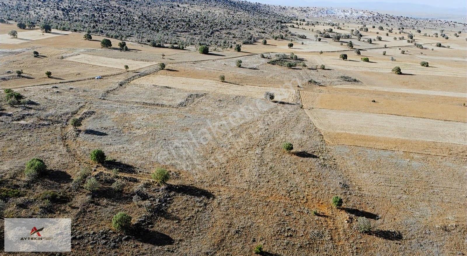 Hacılar'da 6.983m2 Müstakil Tapulu Arazi Fırsat Fiyatt !! - Görsel 10
