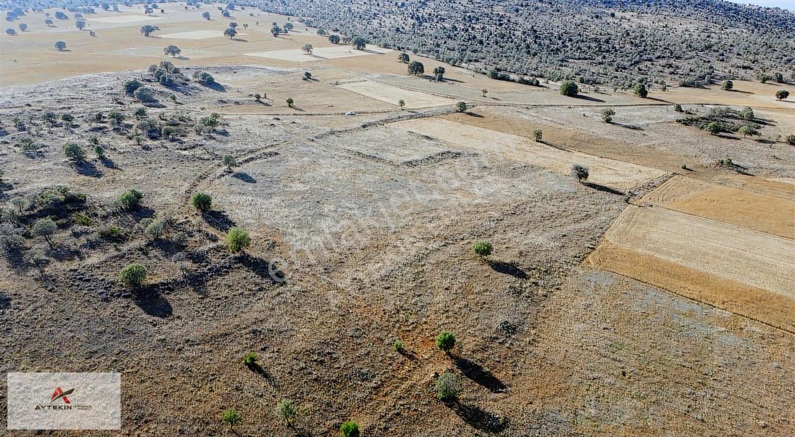 Hacılar'da 6.983m2 Müstakil Tapulu Arazi Fırsat Fiyatt !! - Görsel 2