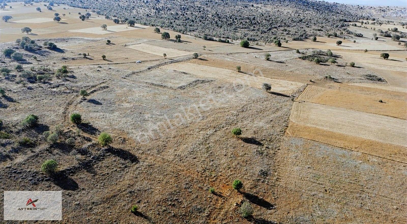 Hacılar'da 6.983m2 Müstakil Tapulu Arazi Fırsat Fiyatt !! - Görsel 7