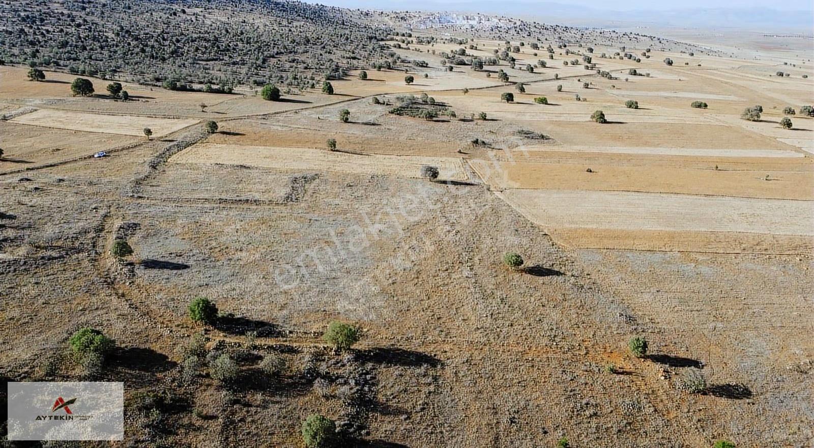 Hacılar'da 6.983m2 Müstakil Tapulu Arazi Fırsat Fiyatt !! - Görsel 9