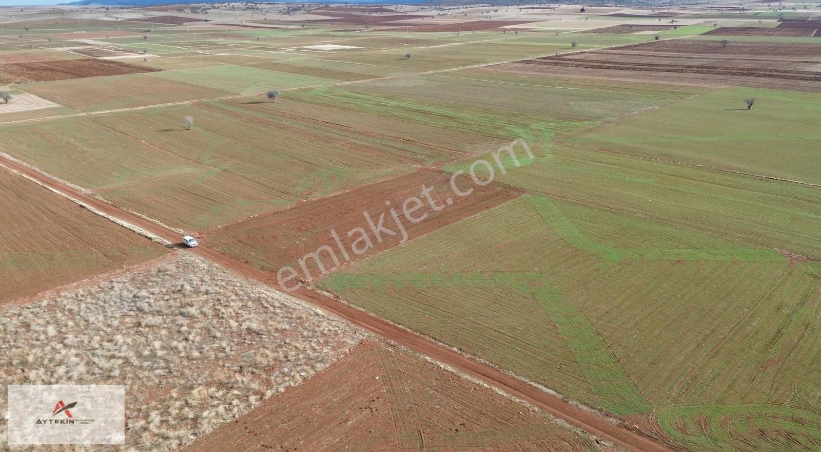 Akören Hacılar Mahallesinde 2.866 M² Müstakil Tapulu Tarla