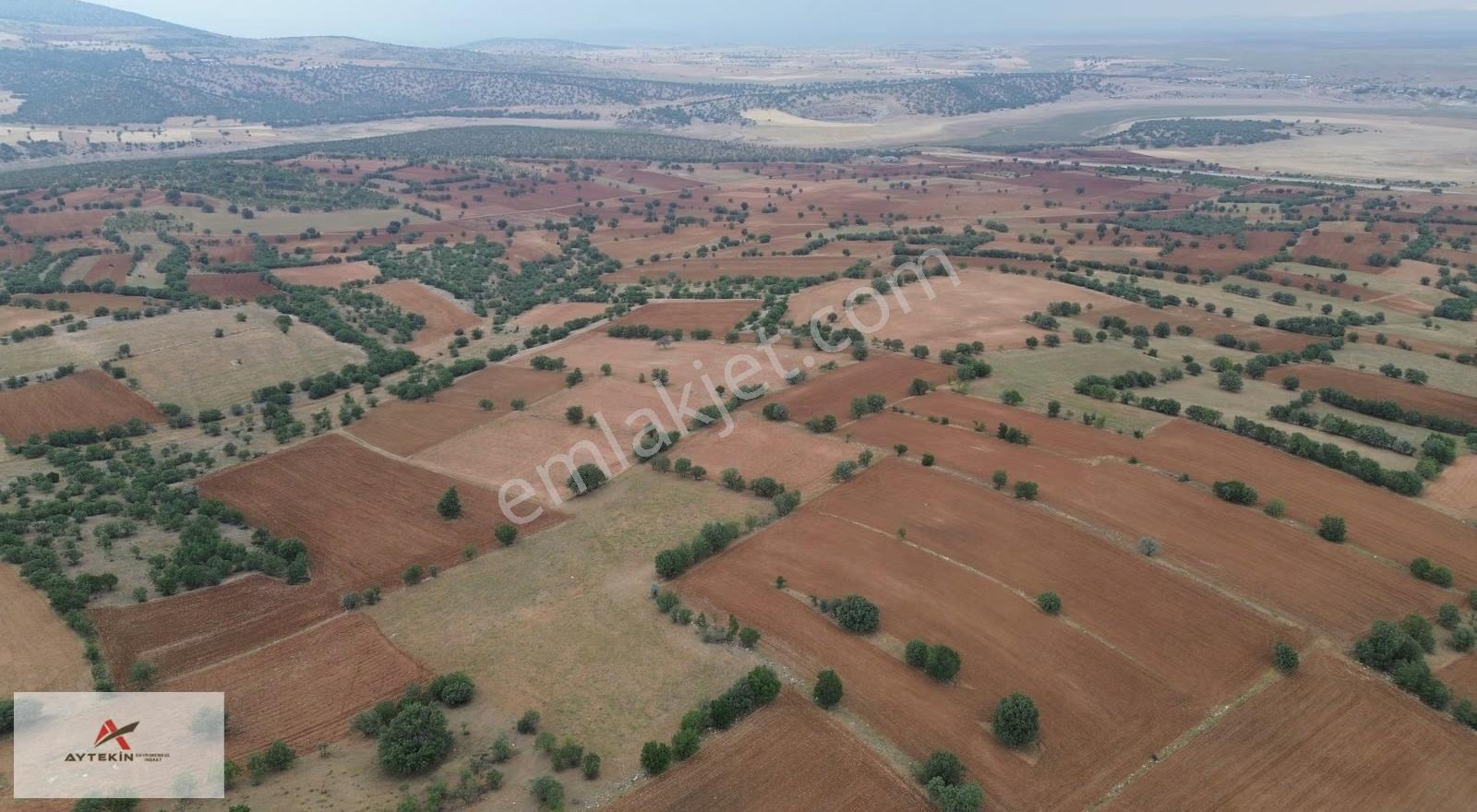 Çumra Apasaraycık Mahallesinde 7.200 M² Müstakil Tapulu Tarla - Görsel 2