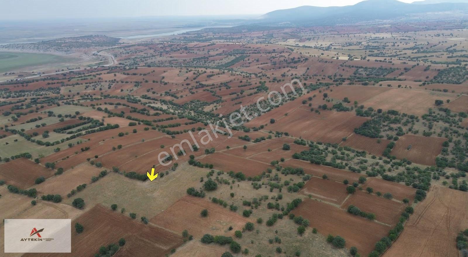 Çumra Apasaraycık Mahallesinde 7.200 M² Müstakil Tapulu Tarla - Görsel 5