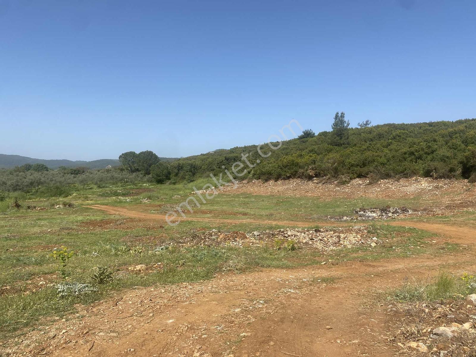 Muğla Menteşe Doğanköyde 12.482 M² İmar Sınırında Satılık Tarla - Görsel 33