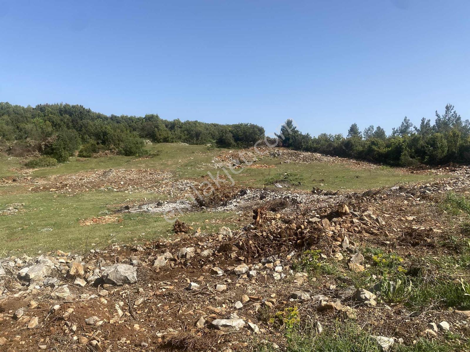 Muğla Menteşe Doğanköyde 12.482 M² İmar Sınırında Satılık Tarla - Görsel 32