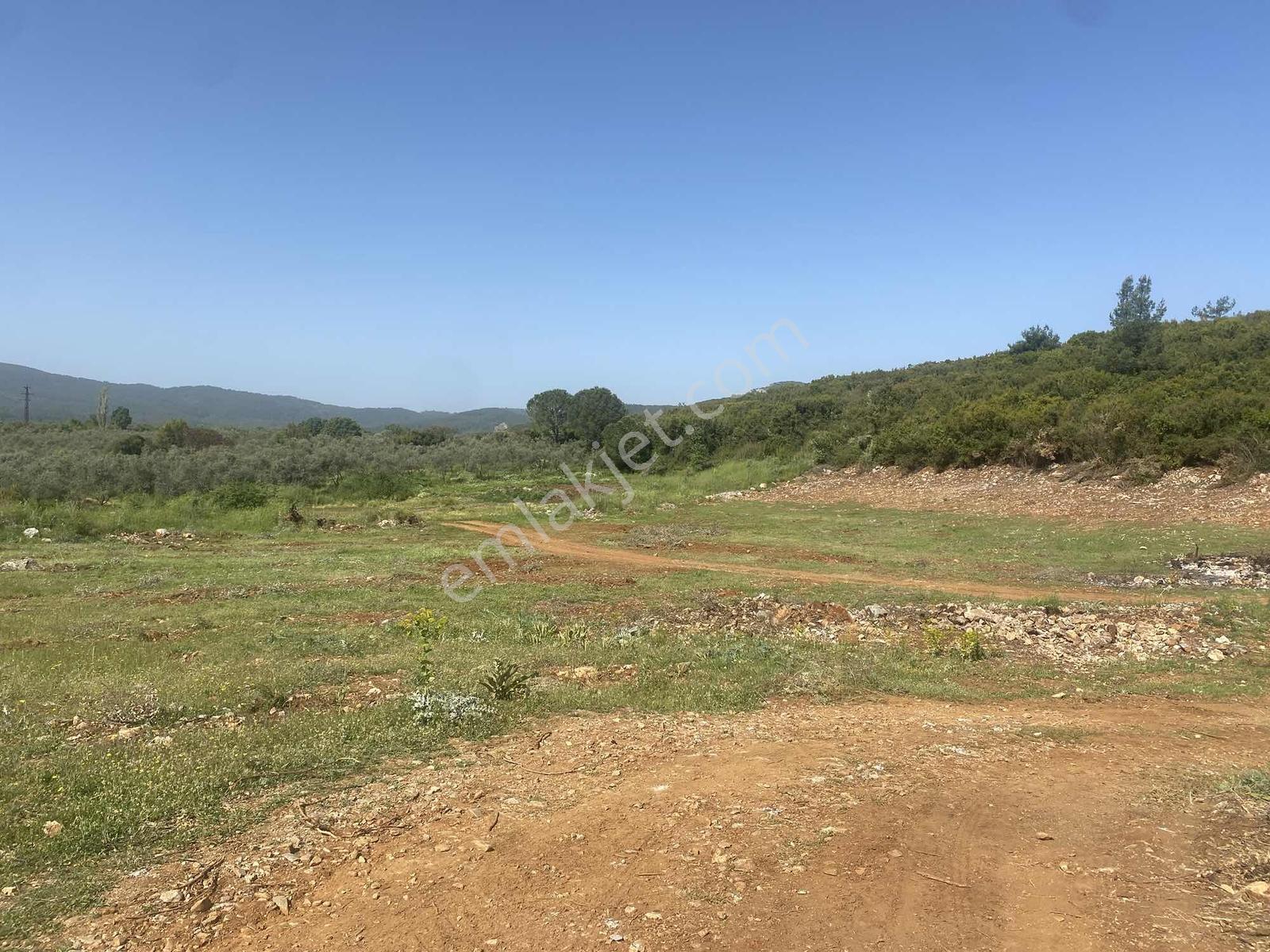 Muğla Menteşe Doğanköyde 12.482 M² İmar Sınırında Satılık Tarla - Görsel 2