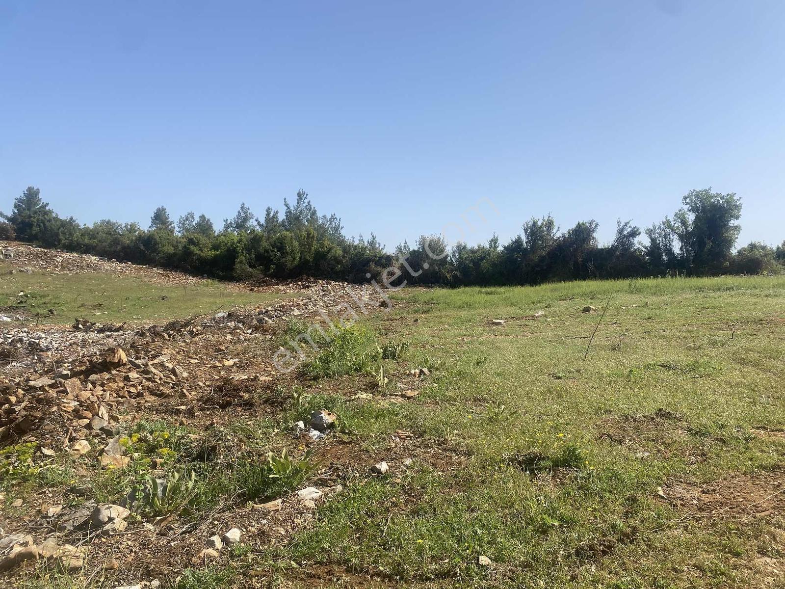Muğla Menteşe Doğanköyde 12.482 M² İmar Sınırında Satılık Tarla - Görsel 29
