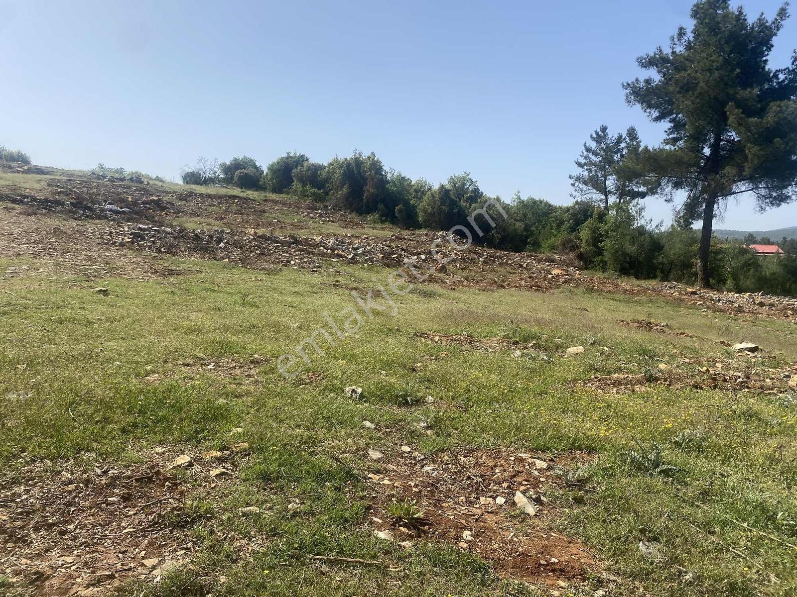 Muğla Menteşe Doğanköyde 12.482 M² İmar Sınırında Satılık Tarla - Görsel 12