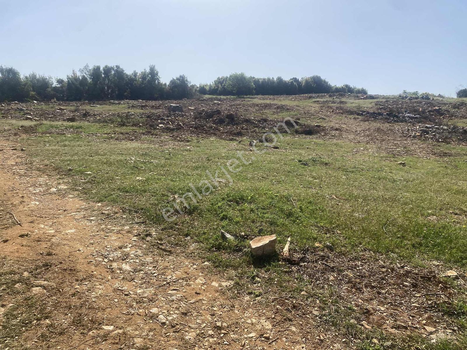 Muğla Menteşe Doğanköyde 12.482 M² İmar Sınırında Satılık Tarla - Görsel 24