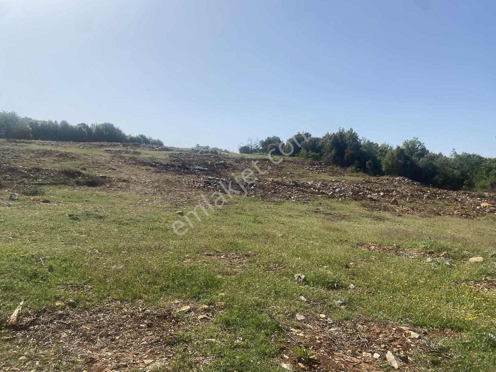 Muğla Menteşe Doğanköyde 12.482 M² İmar Sınırında Satılık Tarla - Görsel 4