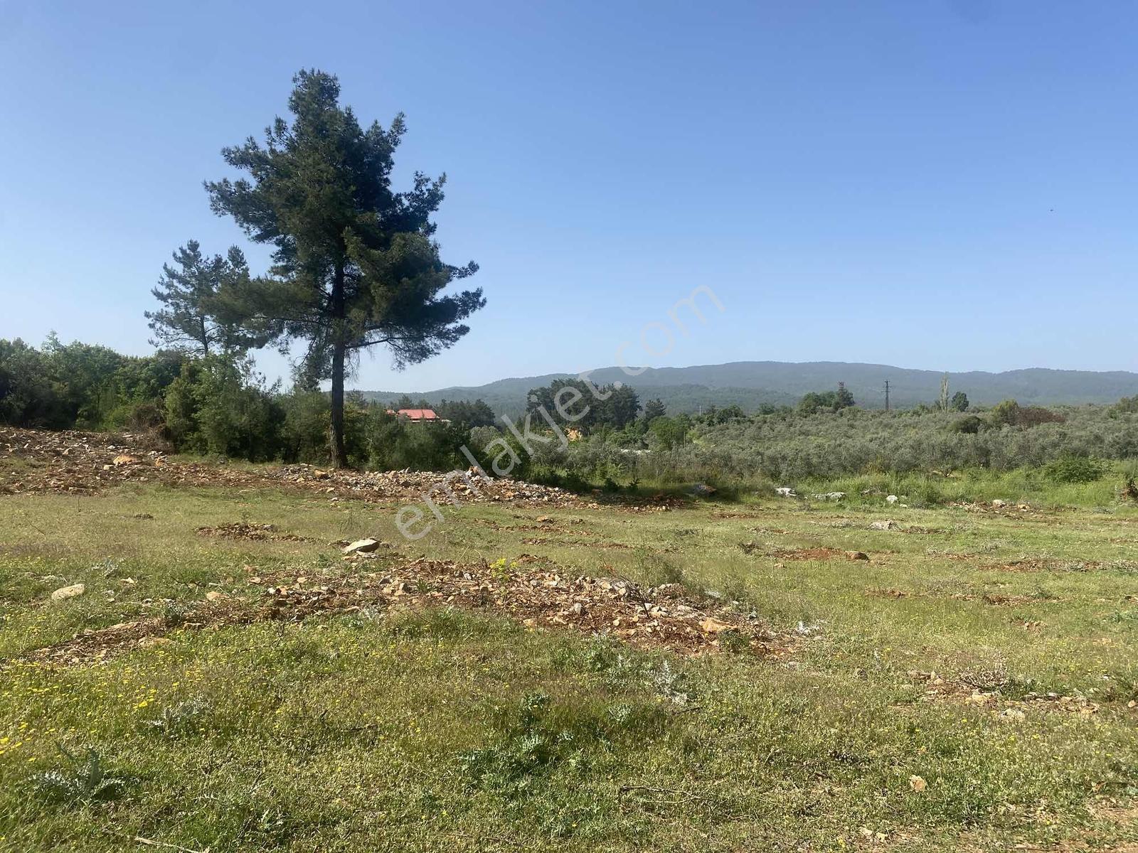Muğla Menteşe Doğanköyde 12.482 M² İmar Sınırında Satılık Tarla - Görsel 17