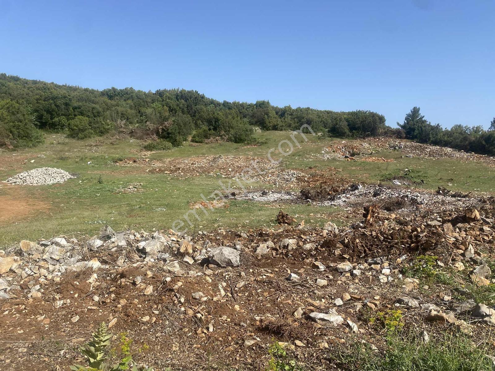 Muğla Menteşe Doğanköyde 12.482 M² İmar Sınırında Satılık Tarla - Görsel 15