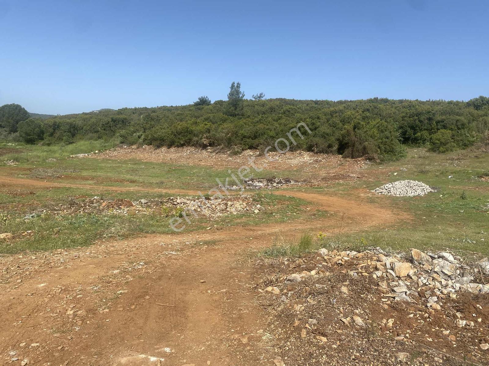 Muğla Menteşe Doğanköyde 12.482 M² İmar Sınırında Satılık Tarla - Görsel 28