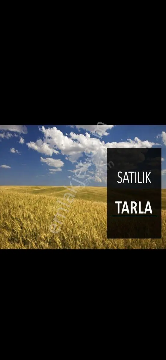 Eker'den Sevinç Mahallesinde Yatırımlık Harika Fırsat Tarla