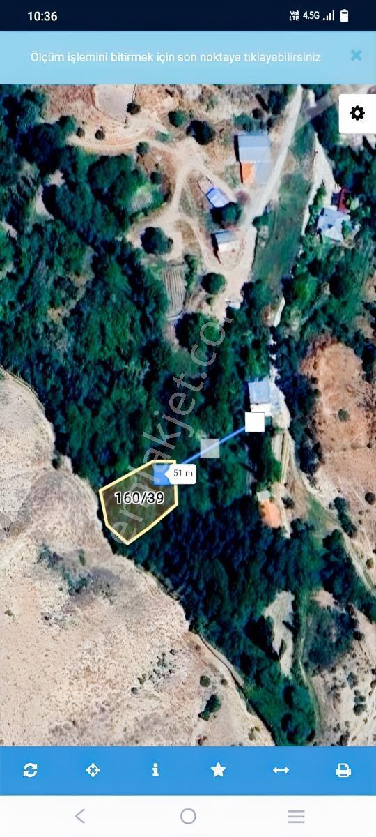 Kemer Belenli Köyünde Yerleşim Yeri İçinde Ceviz Bahçesi 980 M2 - Görsel 2