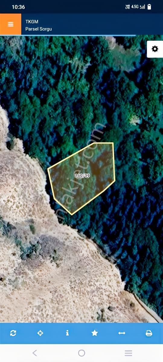 Kemer Belenli Köyünde Yerleşim Yeri İçinde Ceviz Bahçesi 980 M2 - Görsel 5