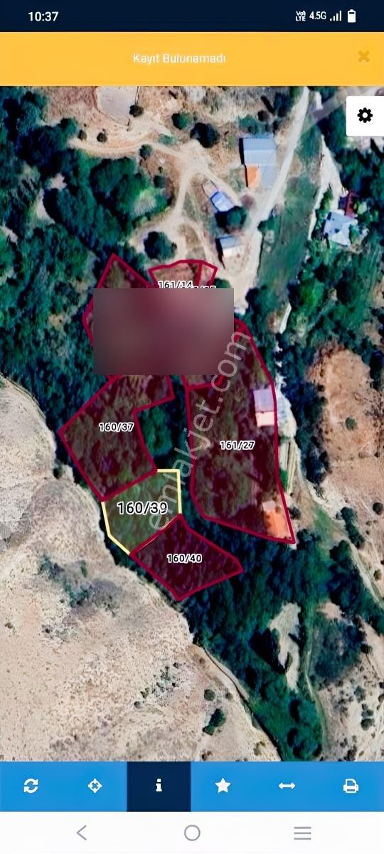 Kemer Belenli Köyünde Yerleşim Yeri İçinde Ceviz Bahçesi 980 M2 - Görsel 12