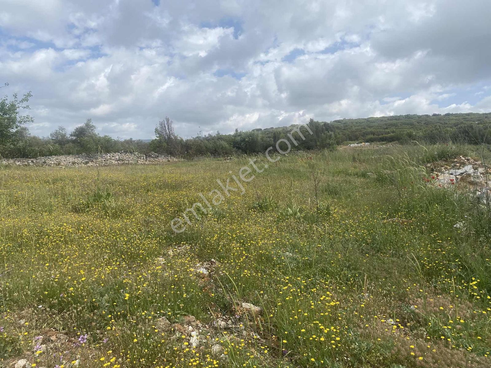 Muğla Menteşe Doğanköyde 14249m² İmar Sınırında Satılık Tarla - Görsel 33