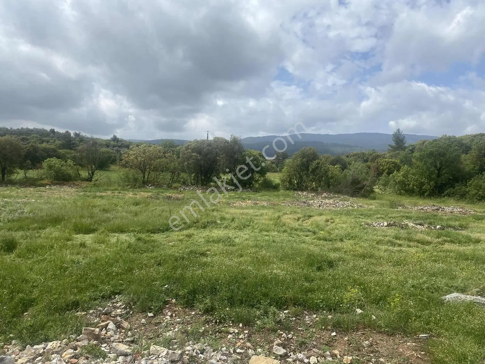 Muğla Menteşe Doğanköyde 14249m² İmar Sınırında Satılık Tarla - Görsel 10