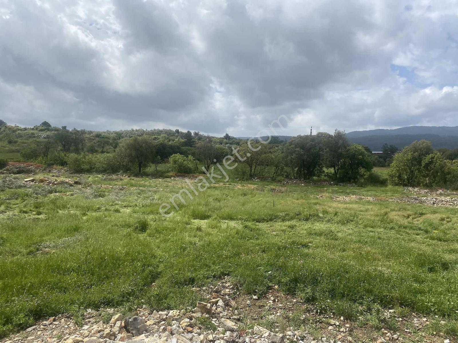 Muğla Menteşe Doğanköyde 14249m² İmar Sınırında Satılık Tarla - Görsel 24