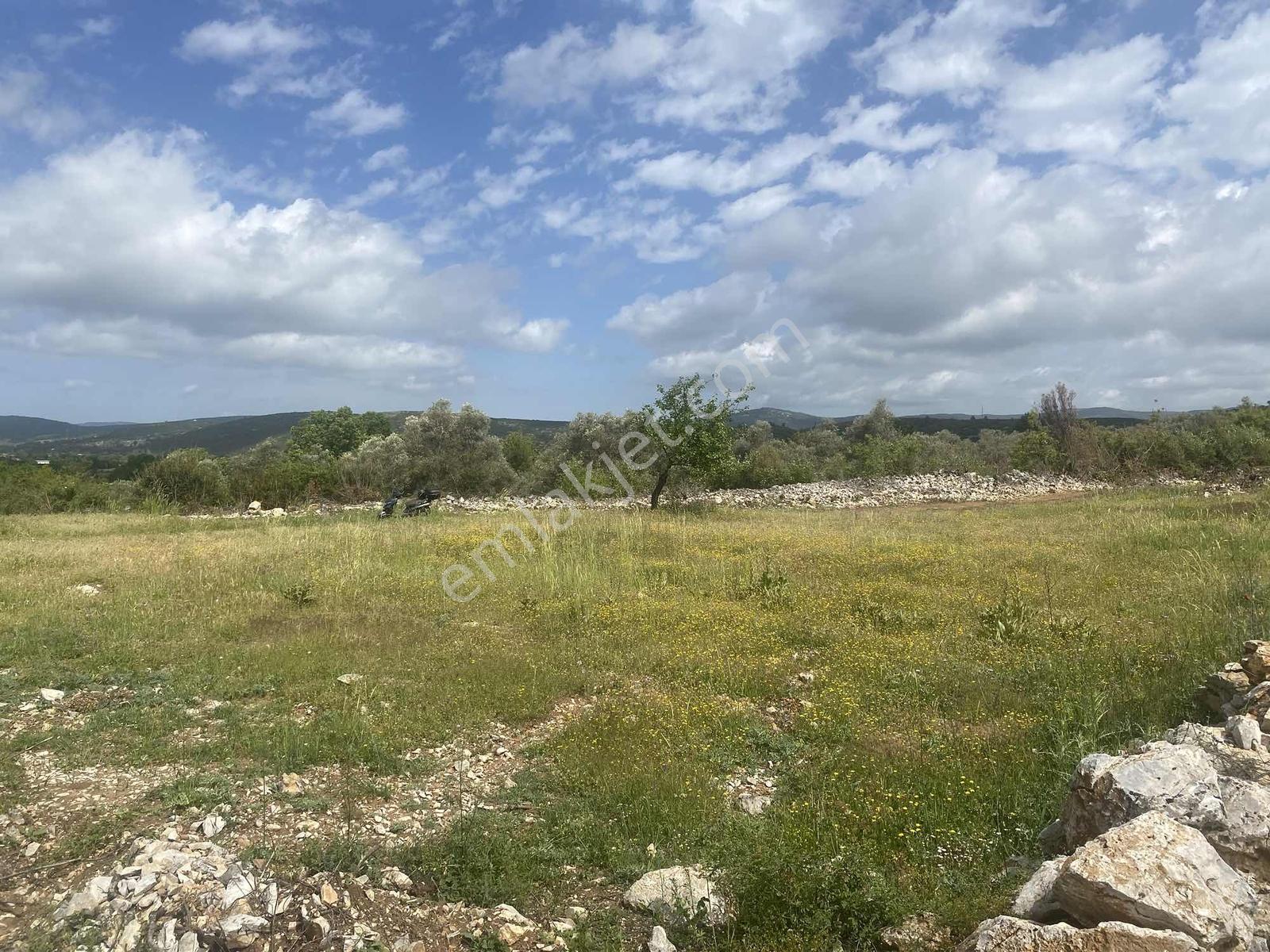 Muğla Menteşe Doğanköyde 14249m² İmar Sınırında Satılık Tarla - Görsel 5