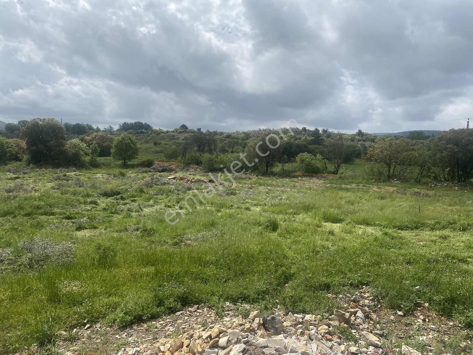 Muğla Menteşe Doğanköyde 14249m² İmar Sınırında Satılık Tarla - Görsel 9