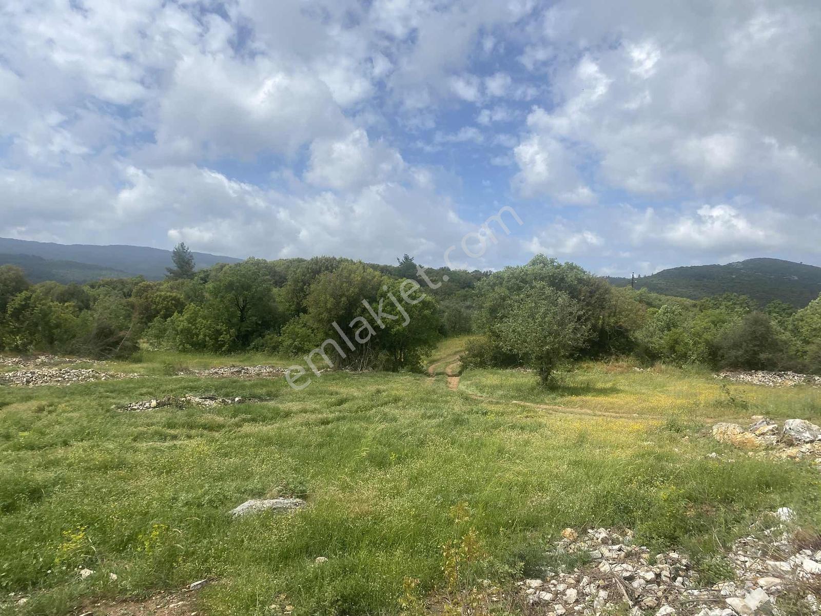 Muğla Menteşe Doğanköyde 14249m² İmar Sınırında Satılık Tarla - Görsel 29