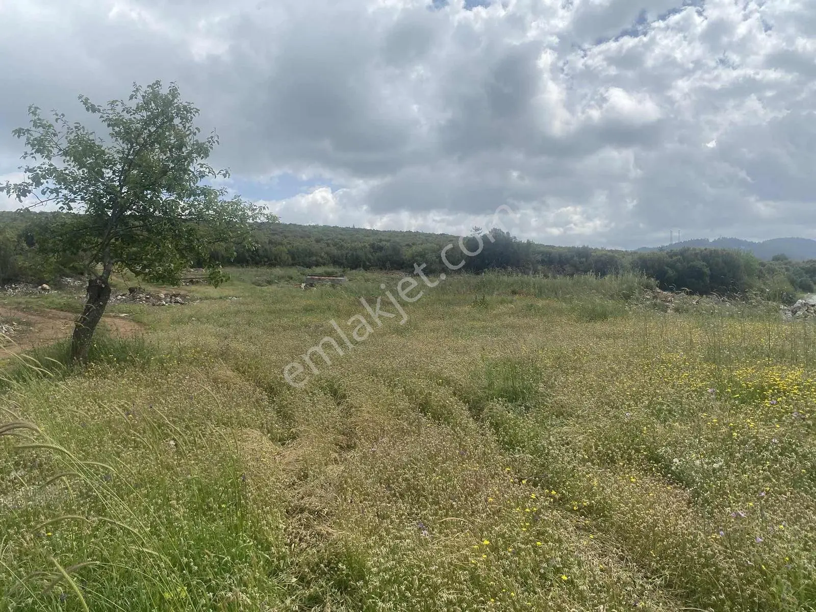 Muğla Menteşe Doğanköyde 14249m² İmar Sınırında Satılık Tarla - Görsel 34