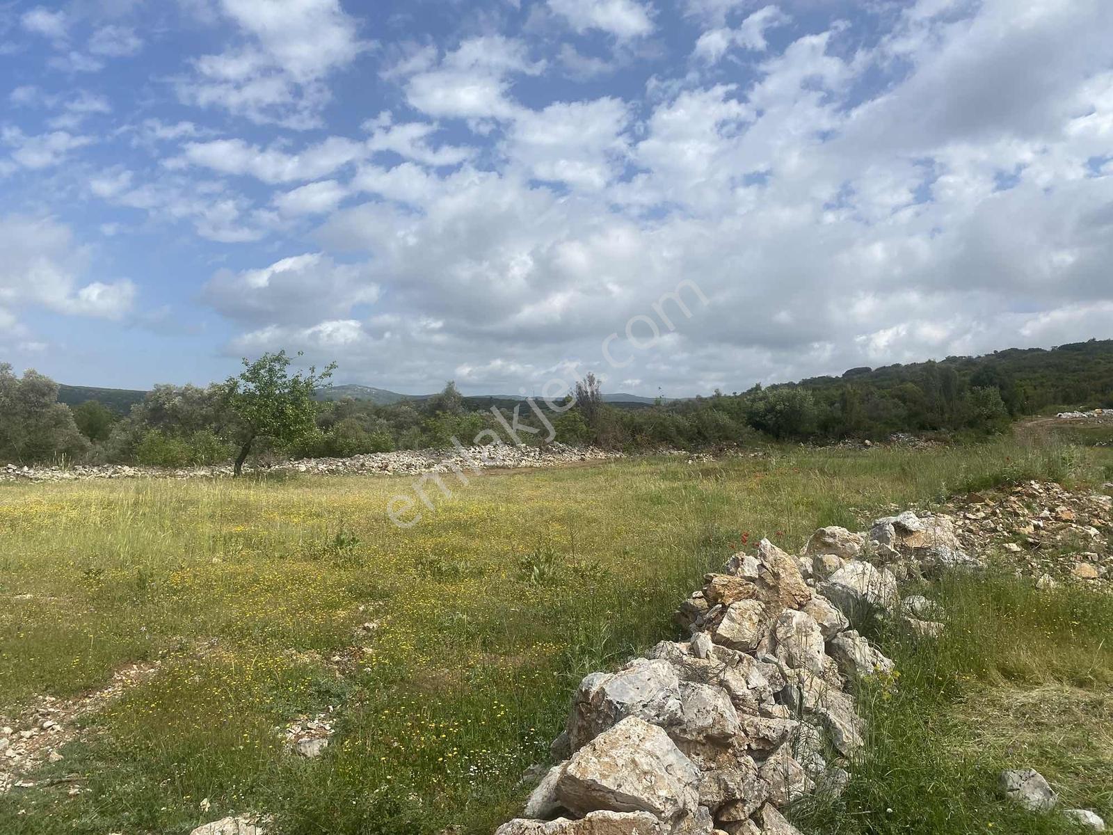 Muğla Menteşe Doğanköyde 14249m² İmar Sınırında Satılık Tarla - Görsel 18