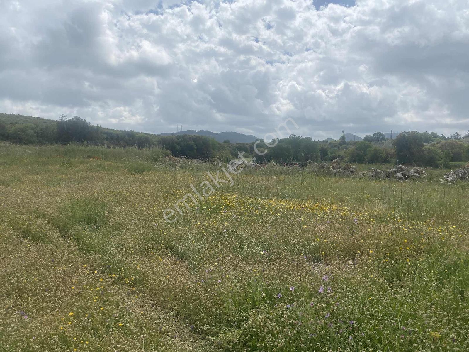 Muğla Menteşe Doğanköyde 14249m² İmar Sınırında Satılık Tarla - Görsel 31