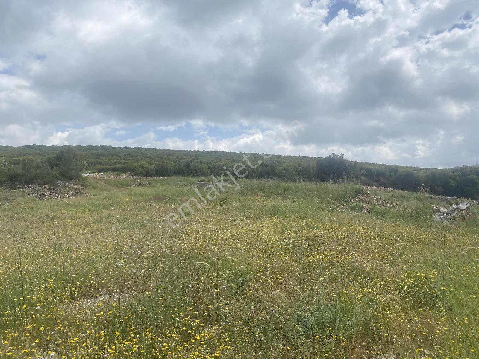 Muğla Menteşe Doğanköyde 14249m² İmar Sınırında Satılık Tarla - Görsel 13