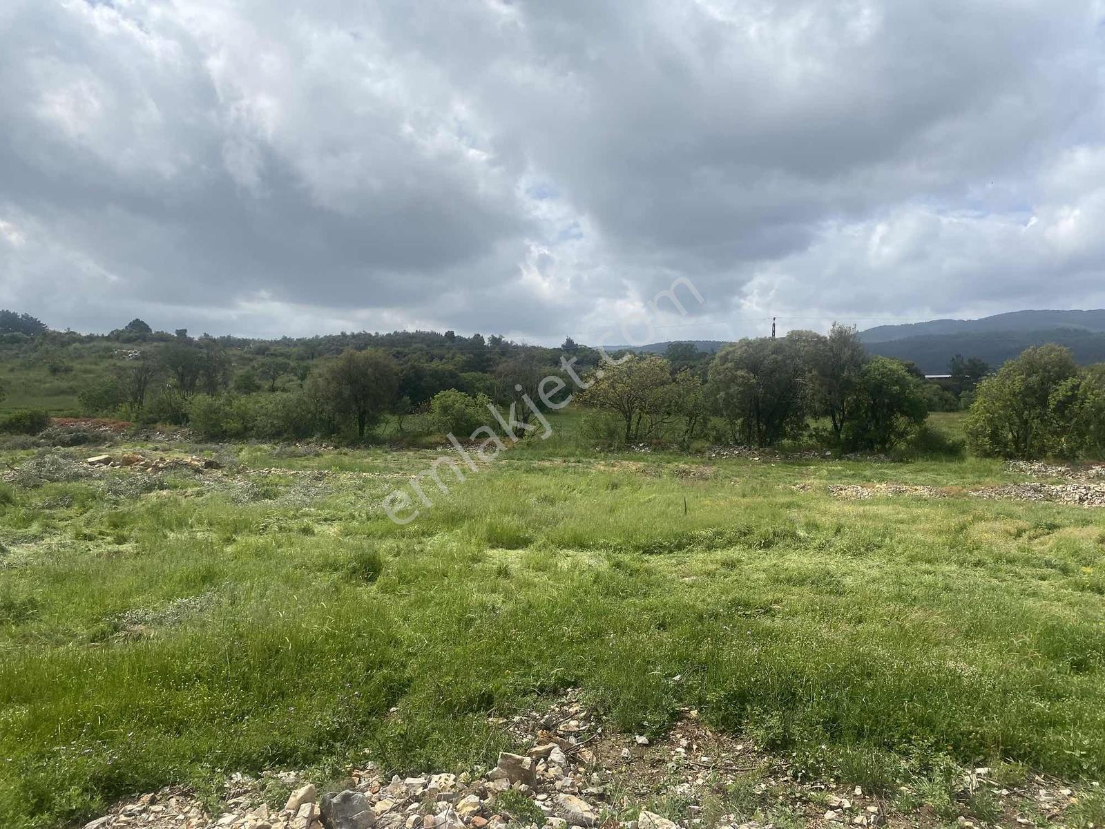 Muğla Menteşe Doğanköyde 14249m² İmar Sınırında Satılık Tarla - Görsel 16