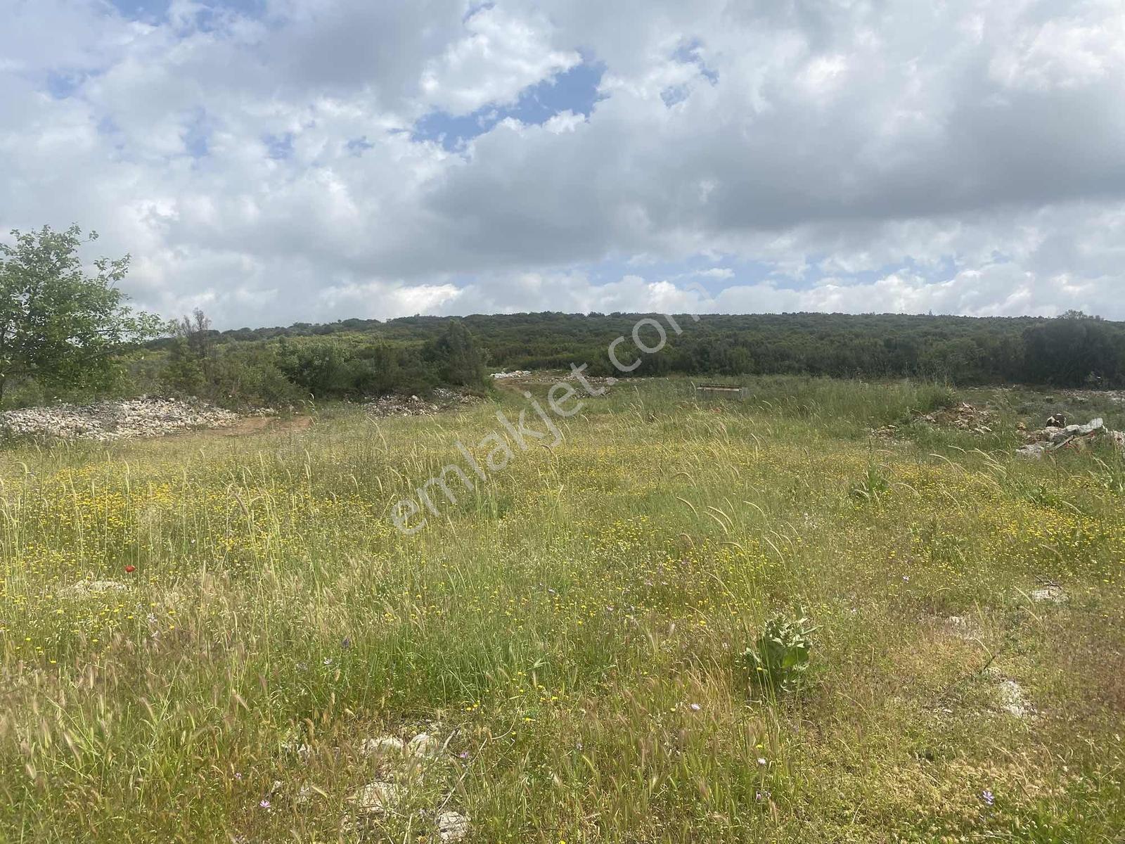 Muğla Menteşe Doğanköyde 14249m² İmar Sınırında Satılık Tarla - Görsel 30