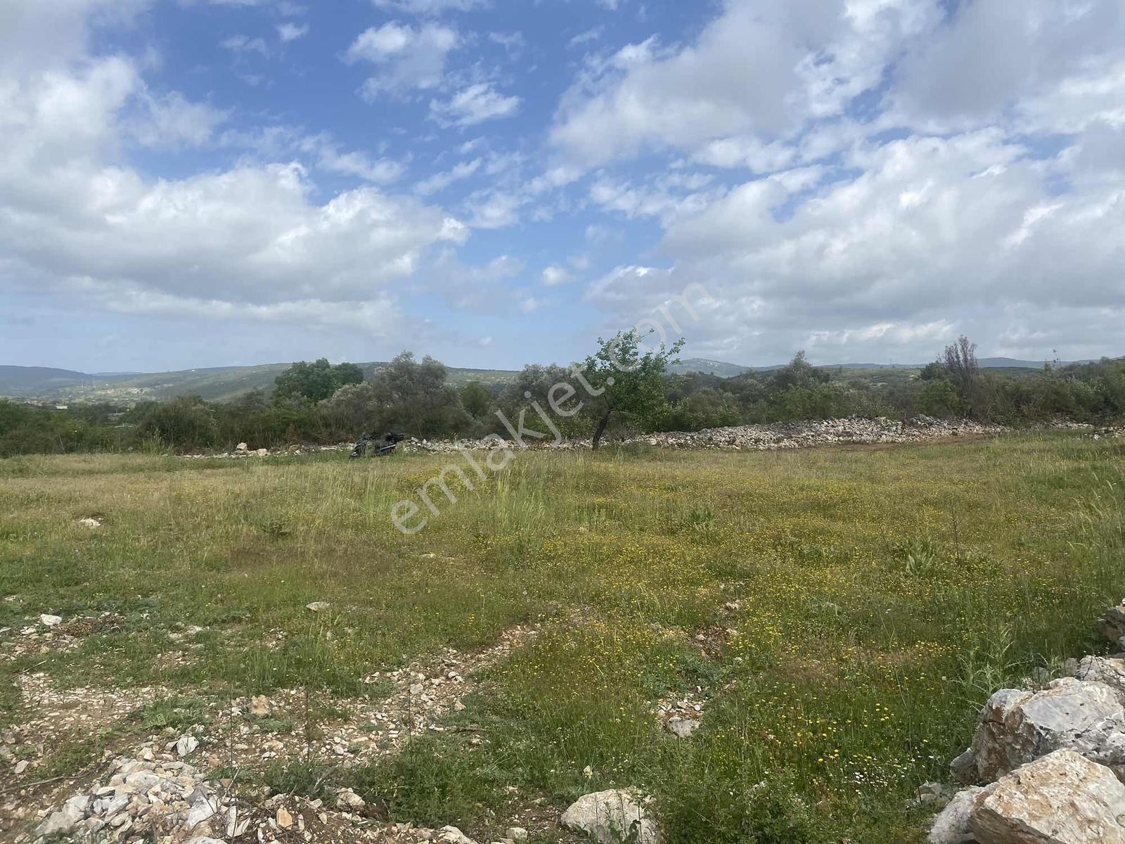 Muğla Menteşe Doğanköyde 14249m² İmar Sınırında Satılık Tarla - Görsel 17