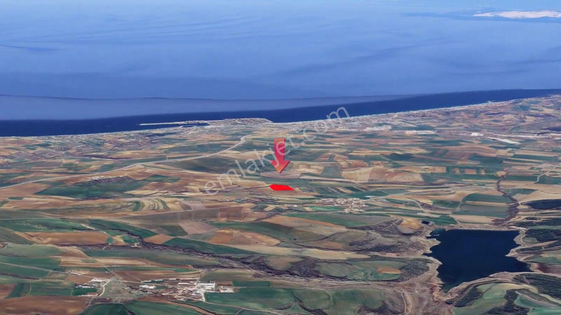 Asyaport Limanı Mevcut İmara Çok Yakın Bölgede Nakit İhtiyacından Acil Satılık Fırsat Kelepir Arazi - Görsel 9
