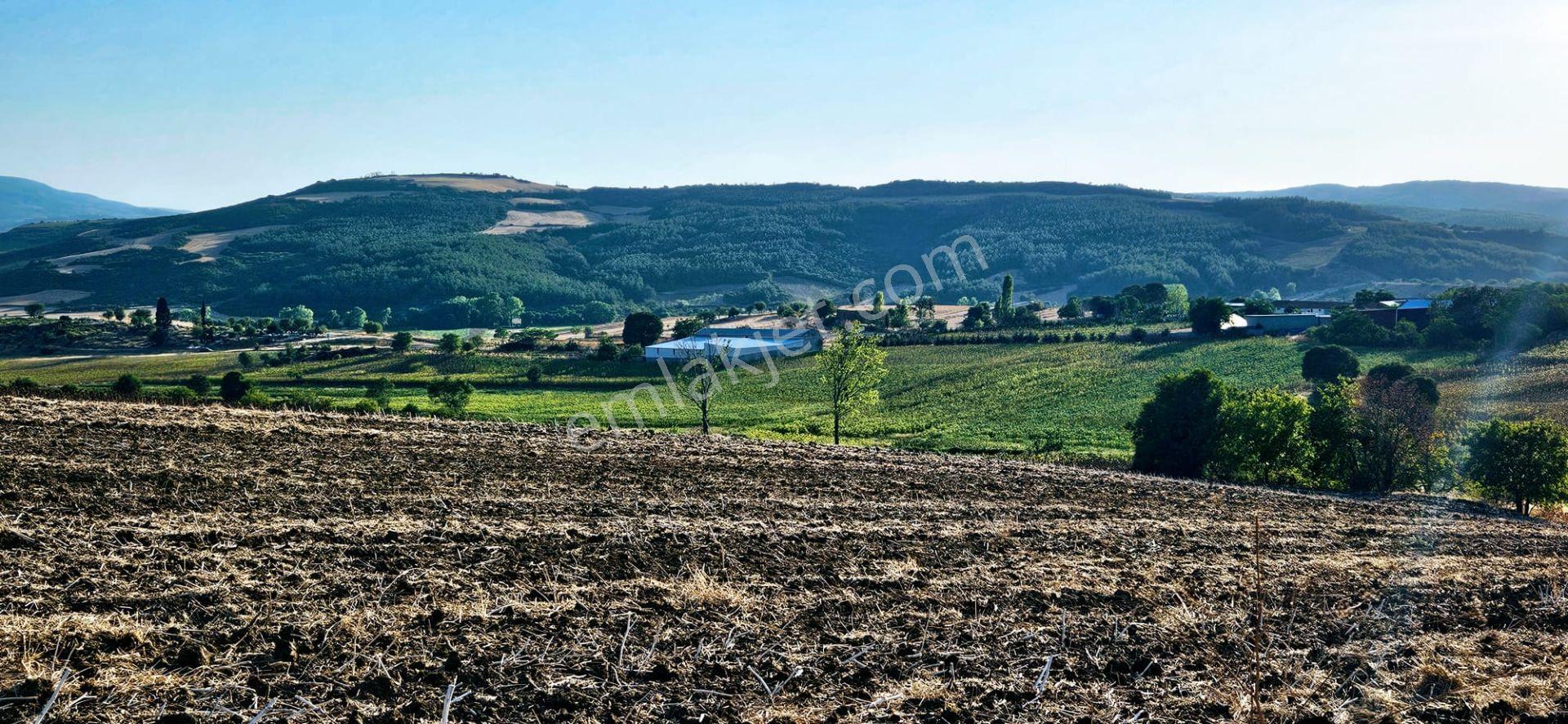 Asyaport Limanı Mevcut İmara Çok Yakın Bölgede Nakit İhtiyacından Acil Satılık Fırsat Kelepir Arazi - Görsel 5