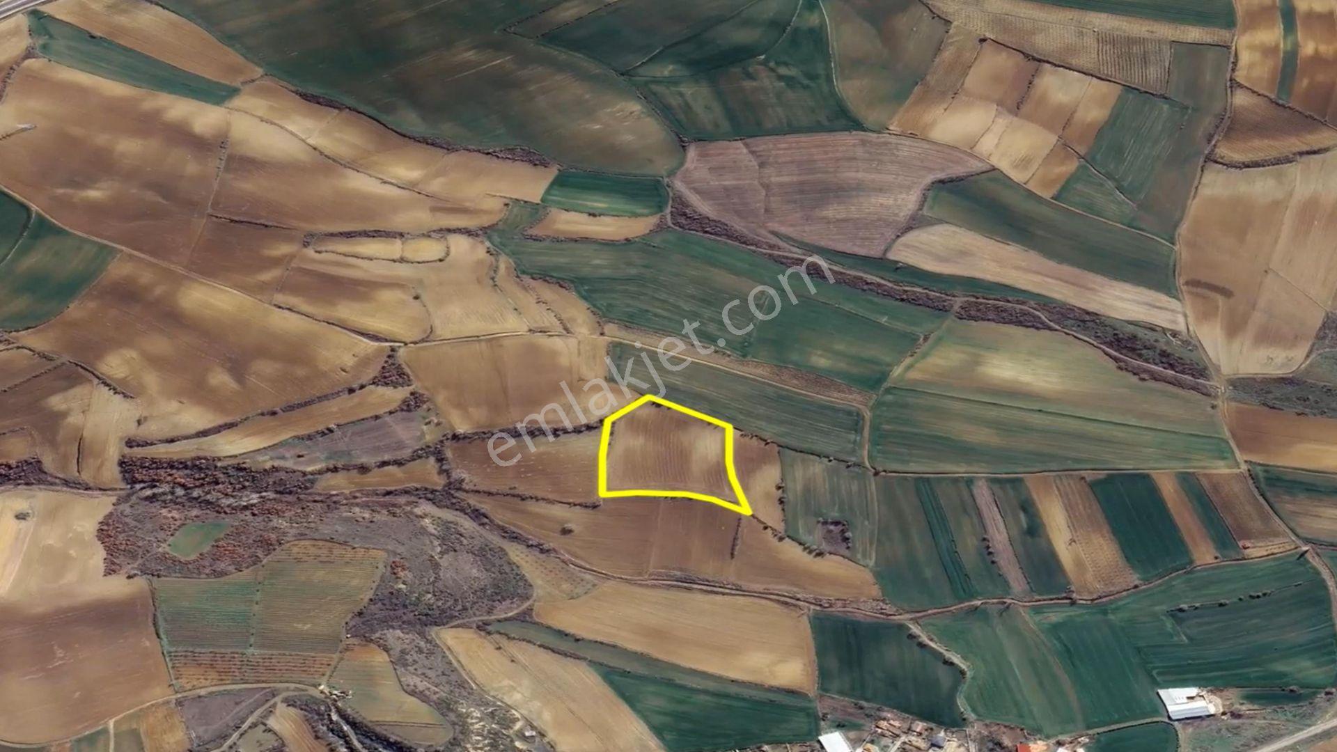 Asyaport Limanı Mevcut İmara Çok Yakın Bölgede Nakit İhtiyacından Acil Satılık Fırsat Kelepir Arazi - Görsel 11
